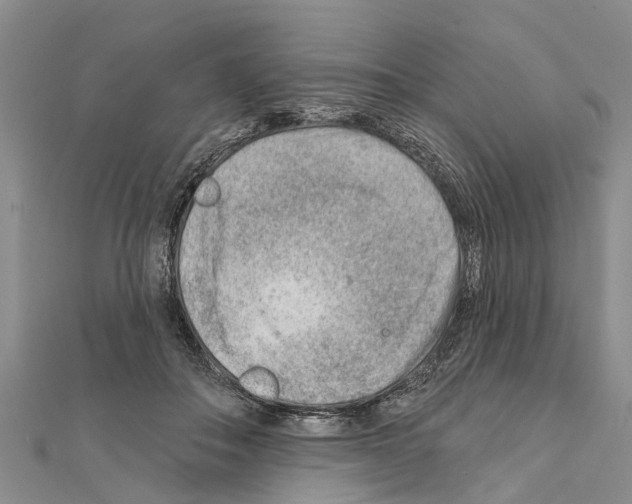 X0000111040506200908061459