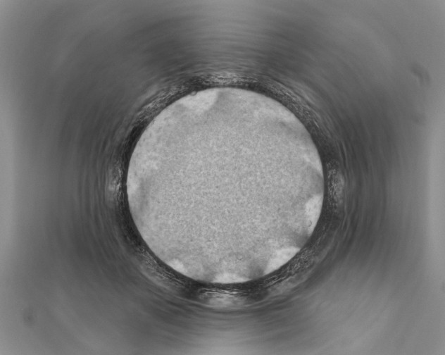 X0000111040507200908061459