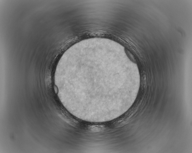 X0000111040508200908061459