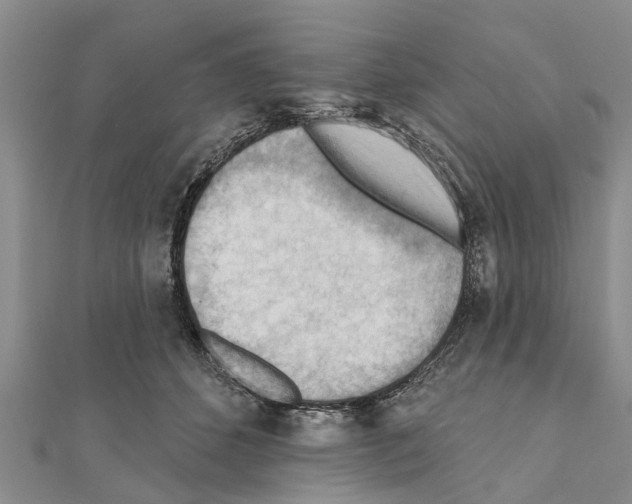 X0000111040512200908061459