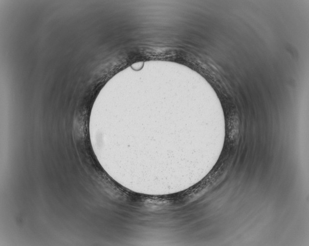 X0000111040515200908061459