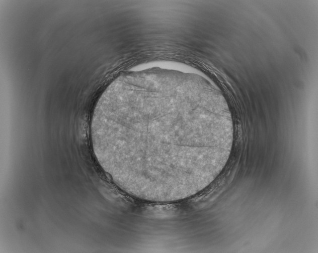 X0000111040517200908061459