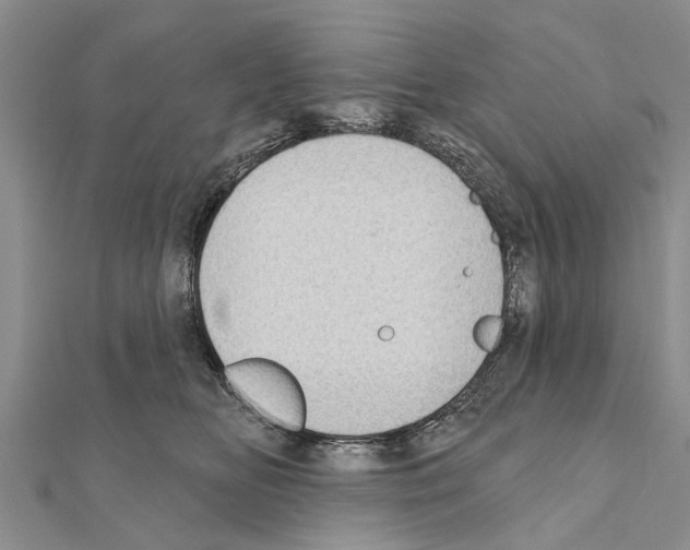 X0000111040518200908061459