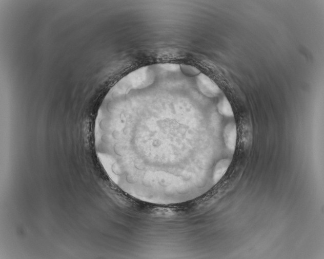 X0000111040519200908061459