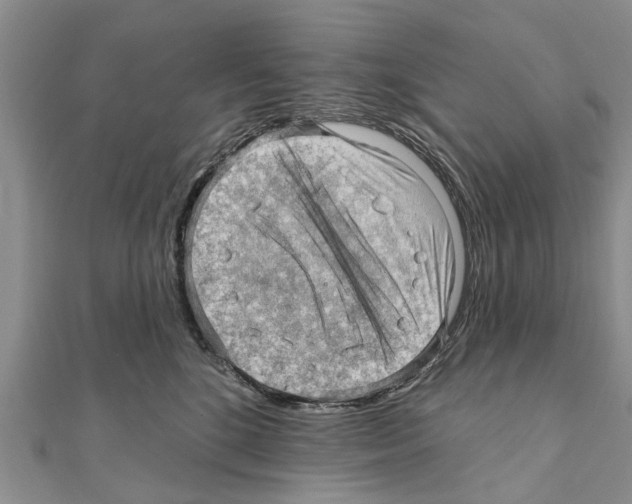 X0000111040520200908061459