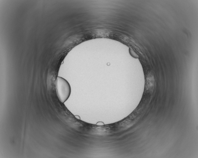 X0000111040522200908061459