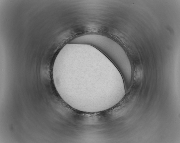 X0000111040524200908061459