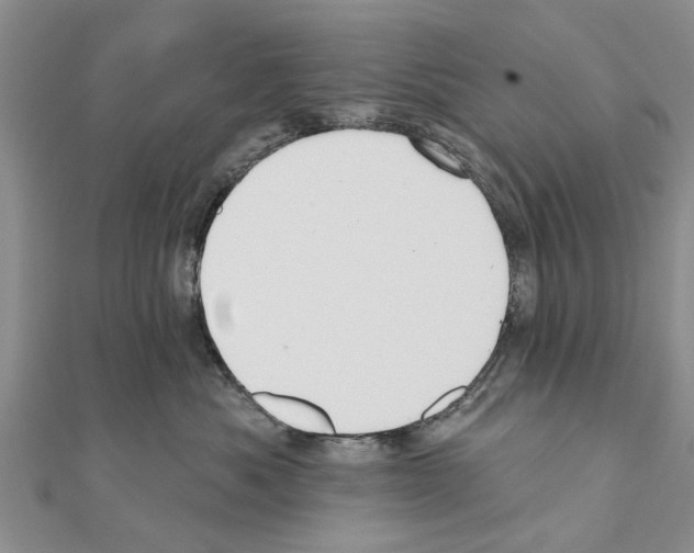 X0000111040525200908061459