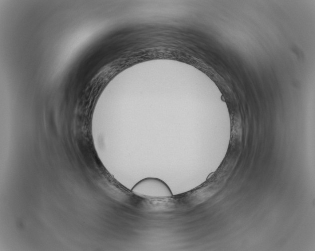 X0000111040526200908061459