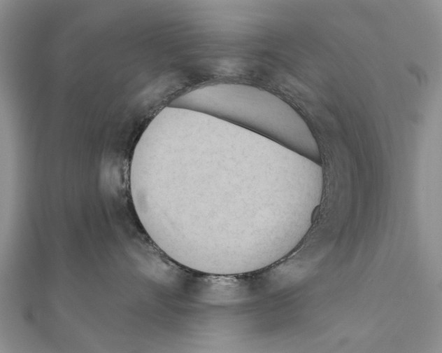 X0000111040528200908061459