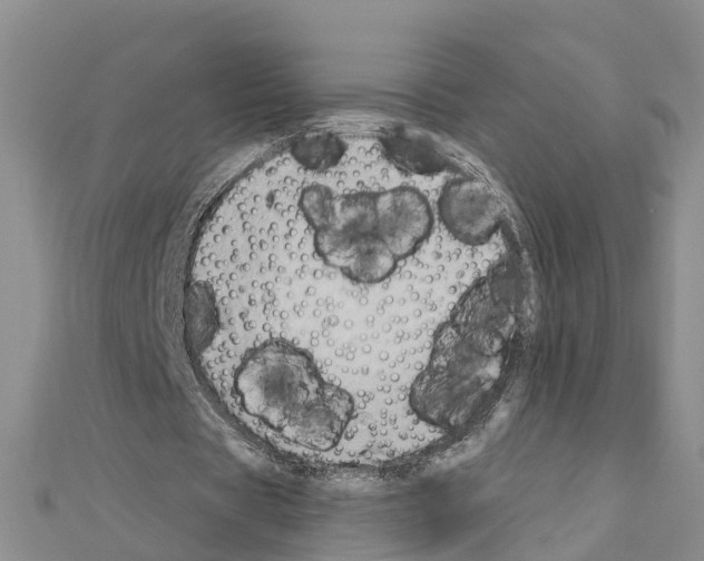 X0000111040529200908061458