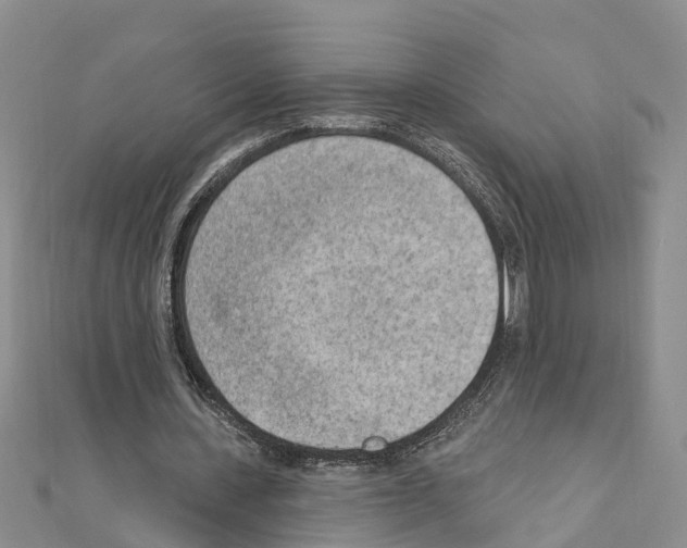 X0000111040531200908061458