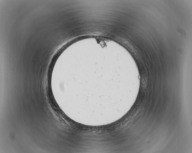 X0000111040532200908061458