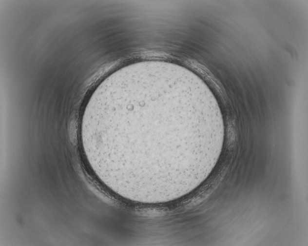 X0000111040533200908061458