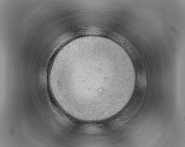 X0000111040534200908061458