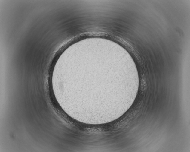 X0000111040535200908061458