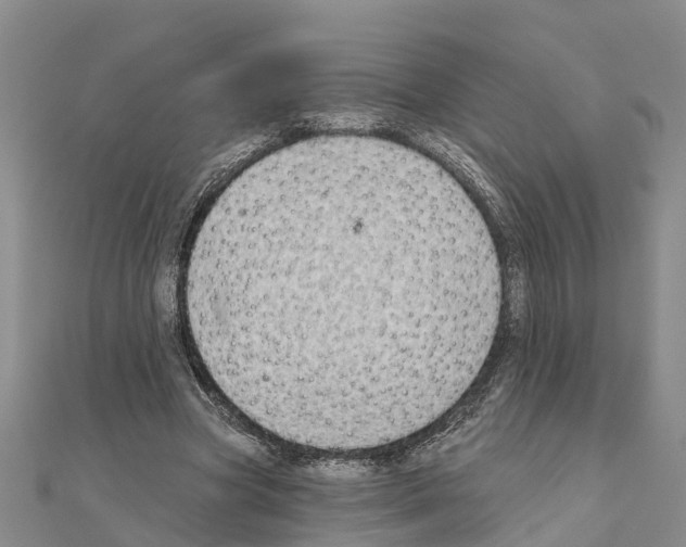 X0000111040537200908061459