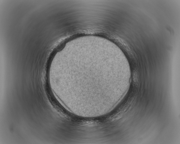 X0000111040540200908061459