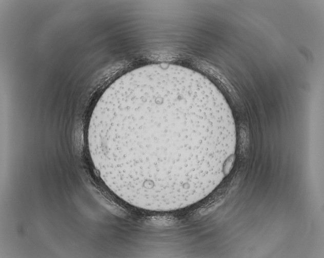 X0000111040541200908061459