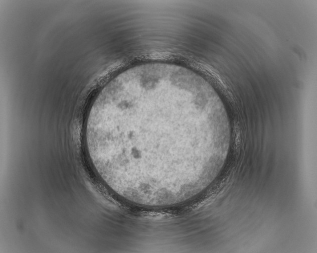 X0000111040542200908061459