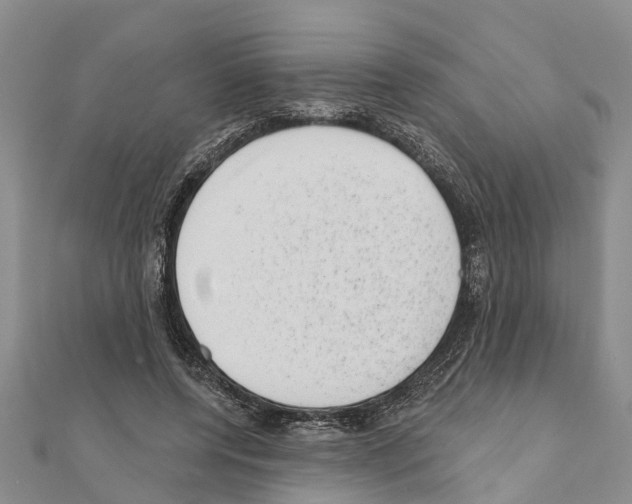 X0000111040544200908061459