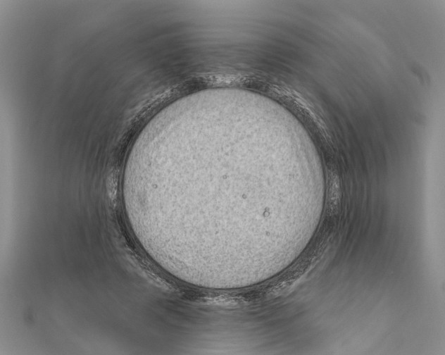 X0000111040545200908061459