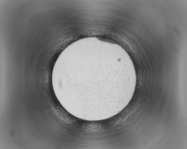 X0000111040546200908061459