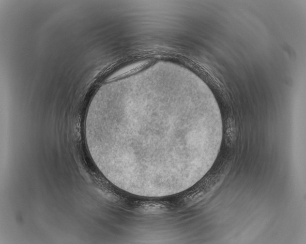 X0000111040547200908061459