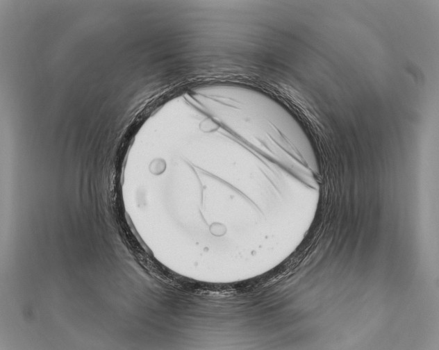 X0000111040548200908061459