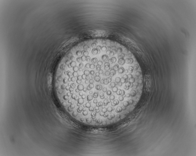 X0000111040550200908061459