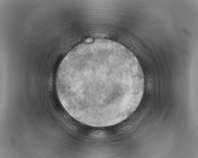 X0000111040551200908061459