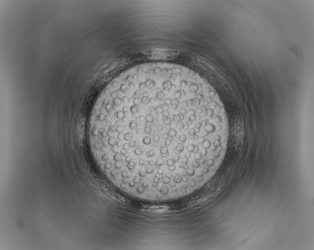 X0000111040554200908061459