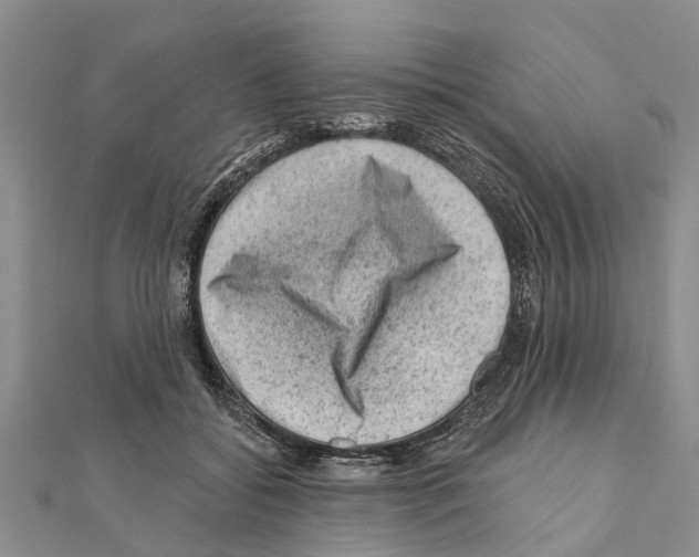 X0000111040556200908061459