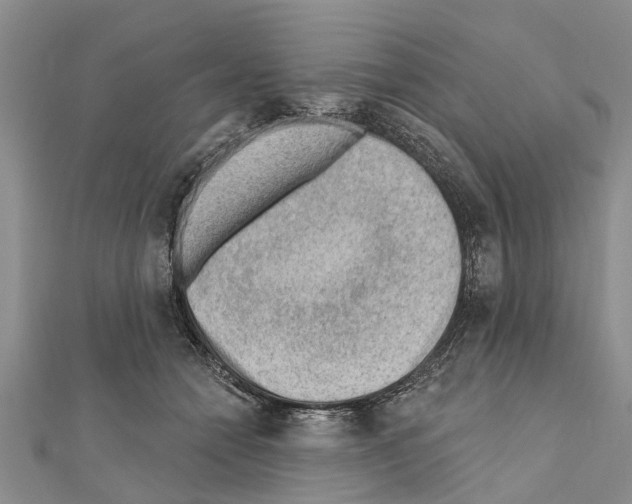 X0000111040558200908061459