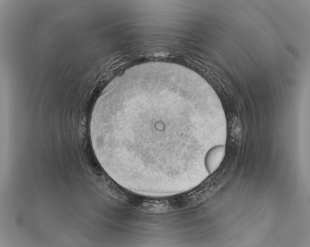 X0000111040559200908061459