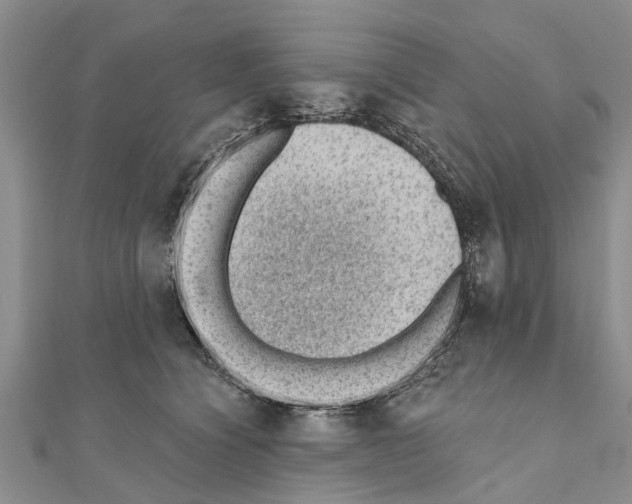 X0000111040564200908061459