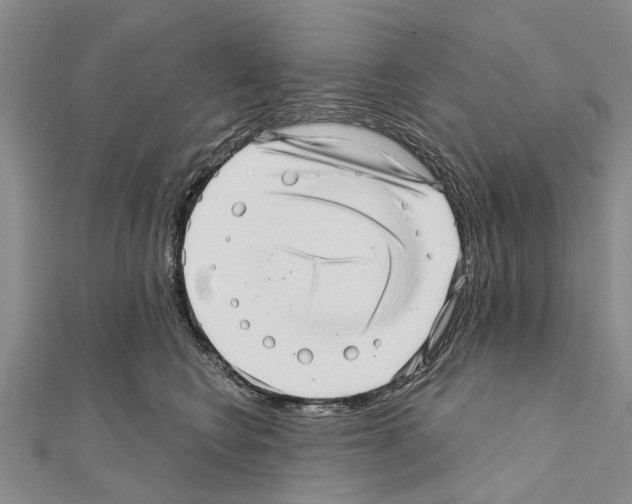 X0000111040566200908061459