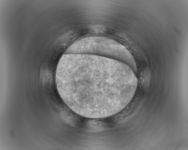 X0000111040568200908061459