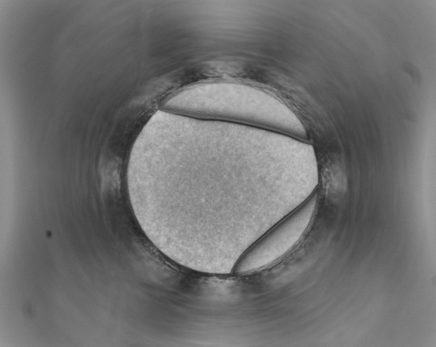 X0000111040570200908061459