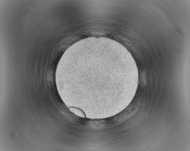 X0000111040571200908061459