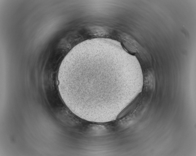 X0000111040572200908061459