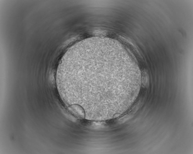 X0000111040573200908061459