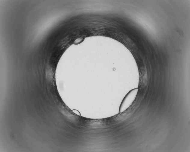 X0000111040574200908061459