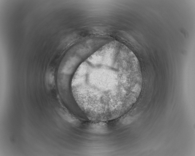 X0000111040576200908061459