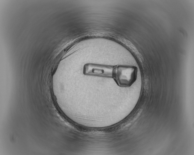 X0000111040577200908061458