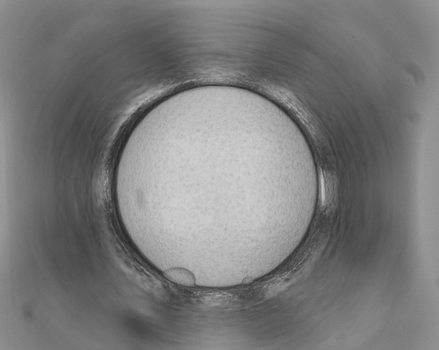 X0000111040579200908061458