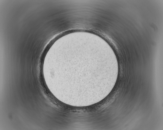 X0000111040580200908061458