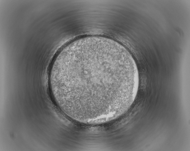 X0000111040584200908061458