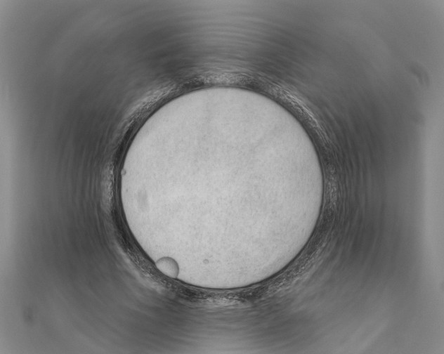 X0000111040586200908061458