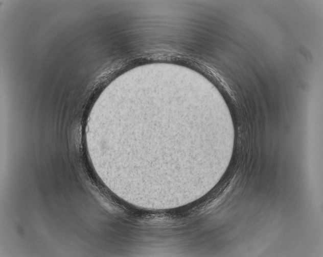 X0000111040589200908061458